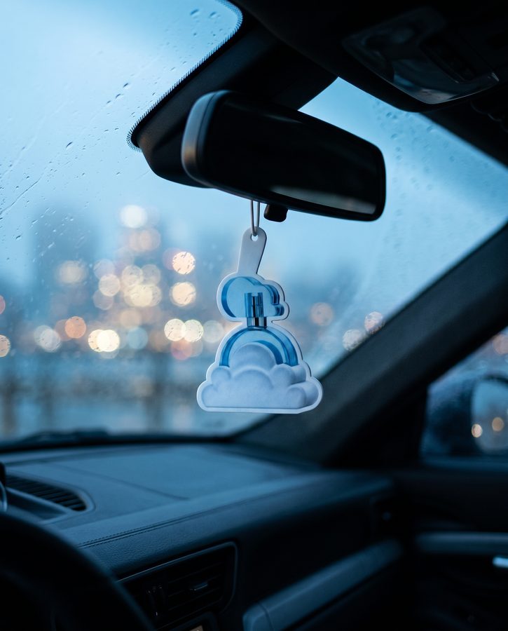 AirCharm in a customer car