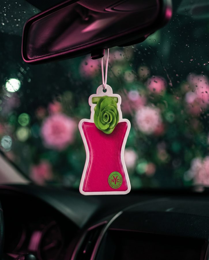 AirCharm in a customer car