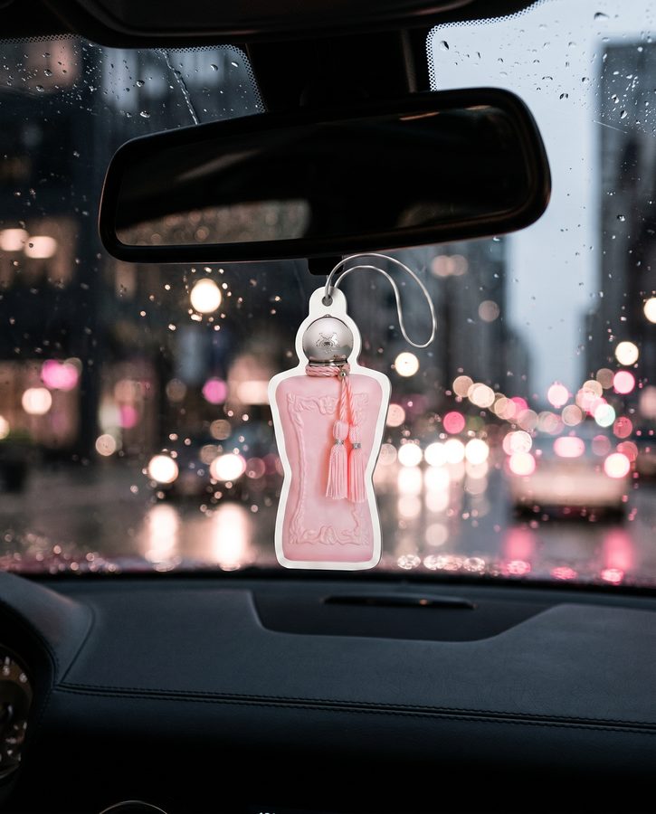 AirCharm in a customer car