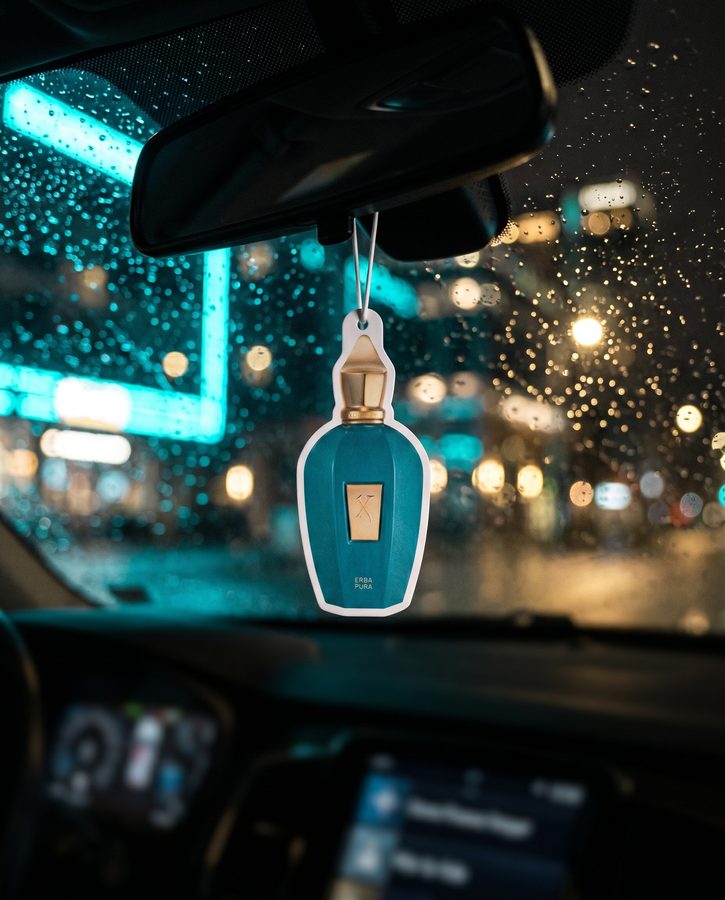AirCharm in a customer car